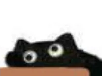 :blackcat_exhausted: